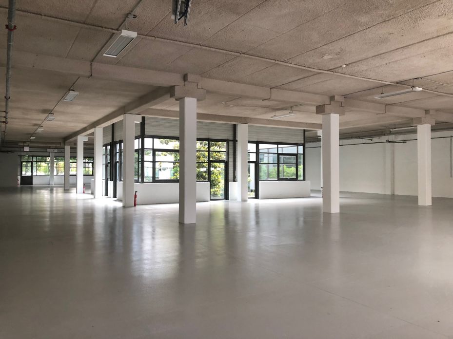 Local d'activité Roissy-en-France 3685m² Location local d'activité Roissy-en-France Val-d'Oise OLACT2106176 1